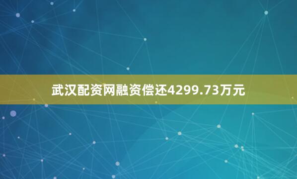 武汉配资网融资偿还4299.73万元