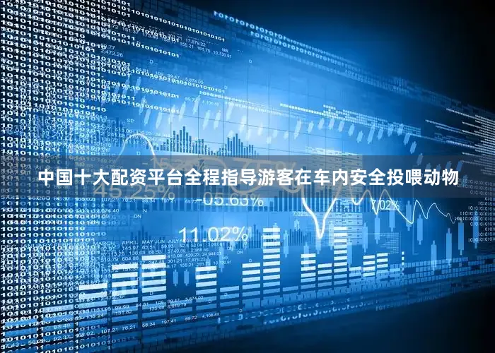 中国十大配资平台全程指导游客在车内安全投喂动物