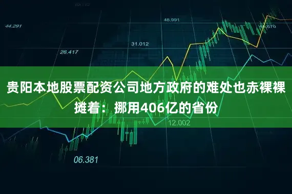 贵阳本地股票配资公司地方政府的难处也赤裸裸摊着：挪用406亿的省份
