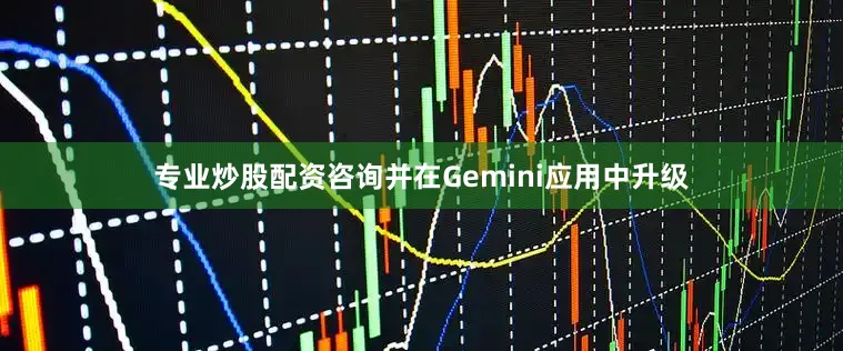 专业炒股配资咨询并在Gemini应用中升级