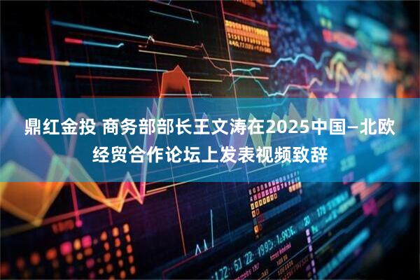 鼎红金投 商务部部长王文涛在2025中国—北欧经贸合作论坛上发表视频致辞