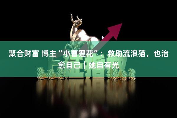 聚合财富 博主“小曹狸花”：救助流浪猫，也治愈自己｜她自有光