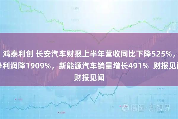 鸿泰利创 长安汽车财报上半年营收同比下降525%，净利润降1909%，新能源汽车销量增长491%  财报见闻