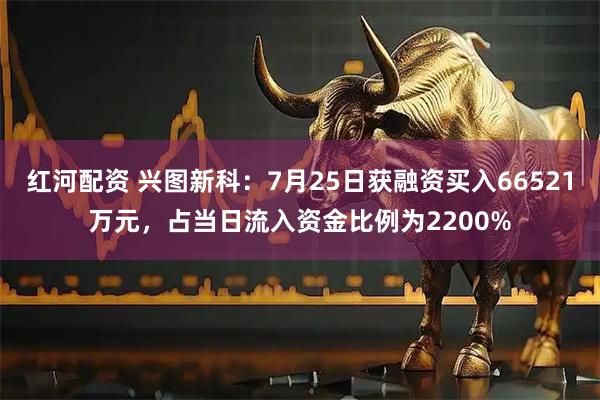 红河配资 兴图新科：7月25日获融资买入66521万元，占当日流入资金比例为2200%