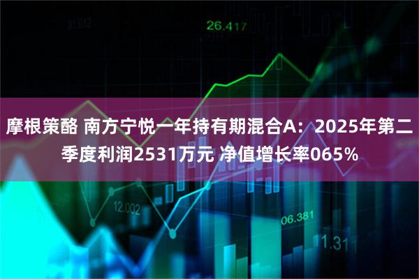 摩根策酪 南方宁悦一年持有期混合A：2025年第二季度利润2531万元 净值增长率065%