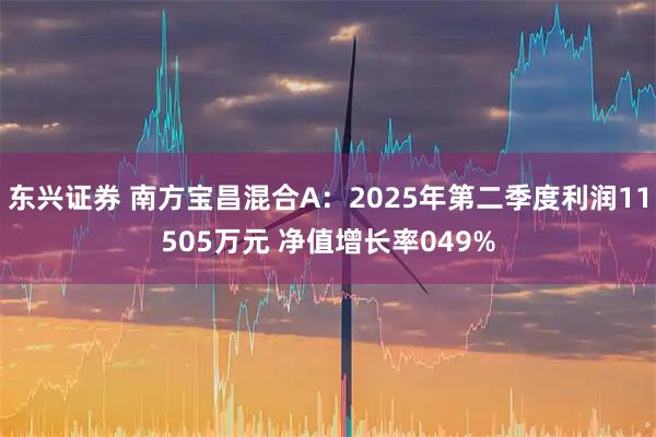 东兴证券 南方宝昌混合A：2025年第二季度利润11505万元 净值增长率049%