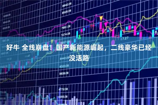 好牛 全线崩盘!国产新能源崛起,二线豪华已经没活路