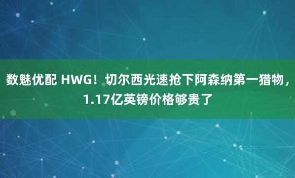 数魅优配 HWG！切尔西光速抢下阿森纳第一猎物，1.17亿英镑价格够贵了